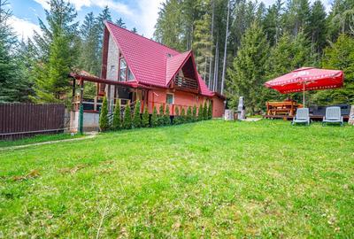 Vila cocheta în Azuga, lângă pădure, cu priveliște superbă la munți - 20