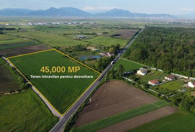 TEREN 45.000 MP | PUZ APROBAT | 156 M FRONT DN11 | PREJMER - BRASOV - 4