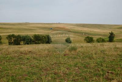 Teren parțial intravilan-300000mp Stroiești-Trei Movile, Suceava - 22