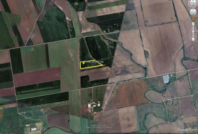Teren de 28800 mp aproape de drumul Arad - Iratos - 3