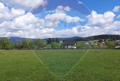 Vanzare Teren 13.650 mp , Suceava / com.Dorna Arini - 7