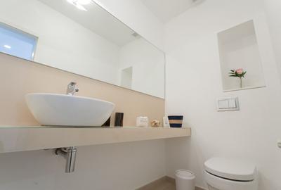 Penthouse deosebit cu 3 camere de inchiriat langa Piata Victoriei - 13