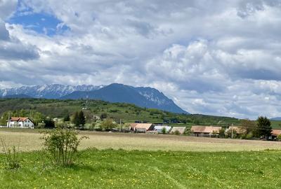 Teren plat P +4 Bran, panoramic munti, DN73, toate utilitatile - 12