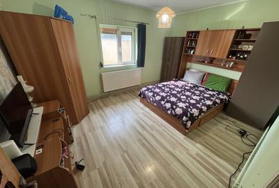 Casă 120 mp + casă 49 mp, teren 640 mp, deschidere 15 ml, Calea Dobrogei – Valu - 5