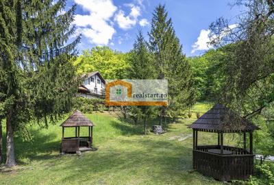 Oportunitate, Restaurant cu MiniPensiune 800mp, 1,8ha teren, Via Transilvanica - 57