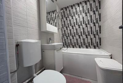 Apartament 2 camere Viziru 1, confort 2, La Cheie. - 9