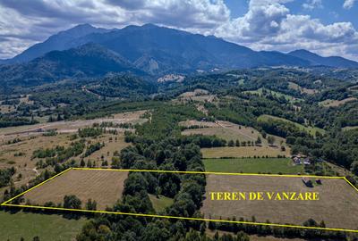 Teren cu panorama de vis in Glajerie- Sohodol - 4