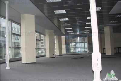 Spatiu de Birouri de 296 mp in Zona Piata Victoriei - 10