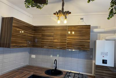 Studio Modern Panorama Lacul Morii - 5