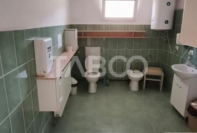 Platforma industriala cu cladiri de vanzare in Salistea de Alba - 6
