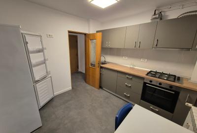 Lacul Tei inchiriere apartament modern de 2 camere Grigore Ionescu-Otesani - 5