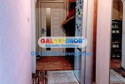 9080 Apartament 2 camere Drumul Taberei- Raul Doamnei - 10