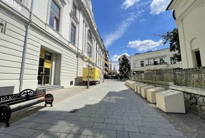 Apartament 5 camere**Oportunitate investitie**Caru"cu Bere//Centrul Istoric - 22
