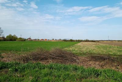 TEREN INTRAVILAN DE 2134 MP CU DRUM PROPRIU ÎN PREJMER – IDEAL PENTRU INVESTIȚIE - 7