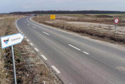 Teren intravilan la asfalt si statie autobuz Ilfov Cernica Posta - 10