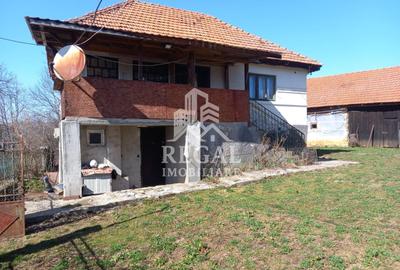 Două case de vânzare – Cerisor – teren generos 6996 mp - 6