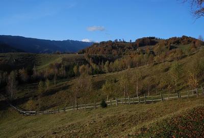 Vand teren Arges in  Dambovicioara 12 150 mp vedere Piatra Craiului