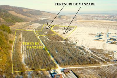 Terenuri in Livada Noua Sanpetru langa Dealul Lempes - 2
