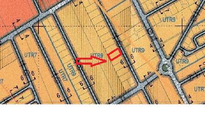 Pădurea Băneasa - 5