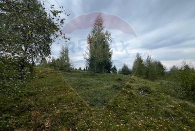 Teren extravilan parcelabil Călățele Pădure, zona Dealu Negru - 3