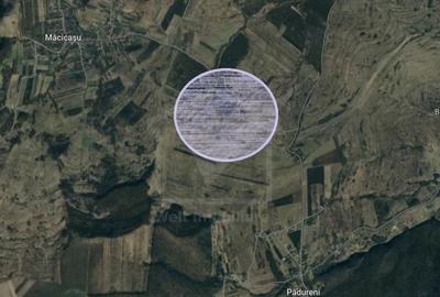 Teren in Padureni - Chinteni, 5800 mp, intravilan, Lv1 - viitoare constructii - 4