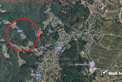 Teren Construcții intravilan de 2219 mp, în Făget