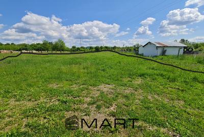 Teren extravilan 661 mp in Selimbar - 1