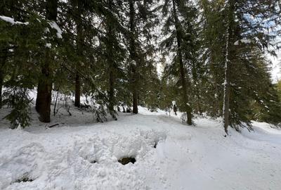 Teren intravilan cu panorama - statiunea Muntele Baisorii - 3