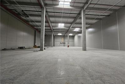 Spatiu Industrial - 900 mp - Logistica - Depozitare - Distributie - 7