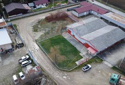 Hală industrială cu birouri si teren Gura Humorului - 3