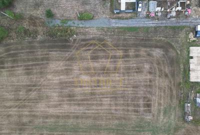 Comision 0% Teren casa individuală cu utilități | Dumbrăvița - 4