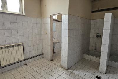 Hala 590 mp, depozitare, prestari servicii, ocolitoarea Brasov-Stupini - 6