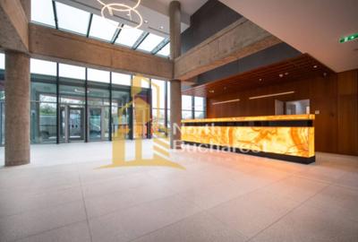 Apartament cu 2 camere de inchiriat / UPsite / Piscina / Sauna / Sala - 13
