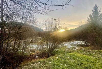 TEREN INTRAVILAN 2,26 HA | SUCEVITA | - 10