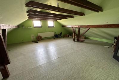 DUPLEX LA INTRARE IN MOSNITA NOUA - 21