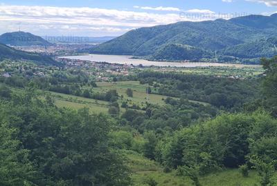 Spectacol - teren zona Bisericani - Alexandru cel Bun