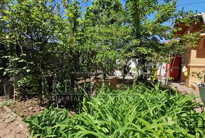Casa Strada Muntii Carpati, 3 camere, curte proprie - 16