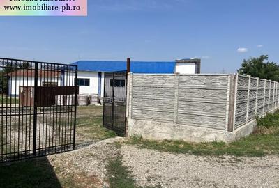 Tihuana Imobiliare:Hala de inchiriat la 7 km de Ploiesti(Zahanaua)