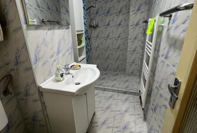 Apartament mobilat, 2 camere, Mărăști /Fabricii - 10