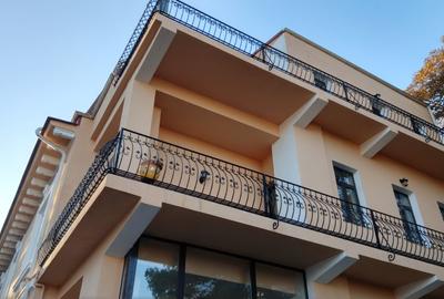 Casa impresionanta de vanzare Cotroceni, teren 680 mp, renovata, garaj dublu - 15