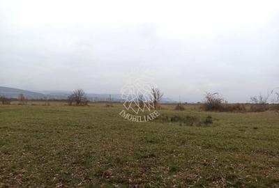 Teren 19611 mp (1,96 Ha)-ideal agricultura, investitie-Zona Aerodrom - 1