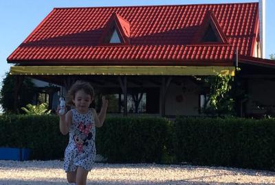 Casă exclusivistă cu ponton privat – Delta Dunării, acces auto - 4