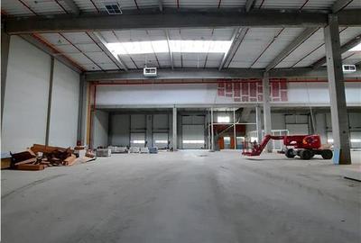 Spatiu Industrial - 5300 mp - Logistica - Productie - Depozitare - Distributie - 1