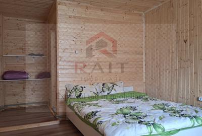 Casa Vacanta Rucar Saticu de Jos Arges - 21