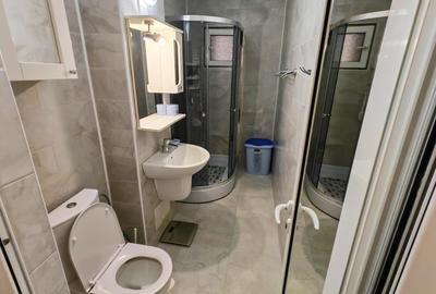Apartament 2 camere modern, I.C. Frimu – mobilat, - 10