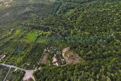 Teren Construcții intravilan de 932 mp, în Dealuri Oradea