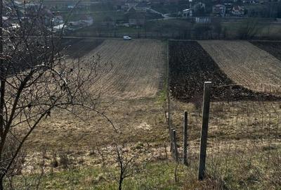 Vand sau schimb Teren extravilan 9000 mp,Corușu, Baciu acces drum apa curgatoare - 3