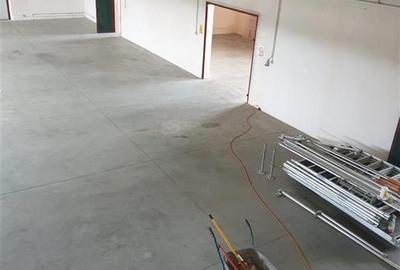 Inchiriez Spatiu industrial Hala  langa A1 spre Timisoara - 4