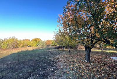 Teren Construcții intravilan de 800 mp, în Horlești (Rediu)