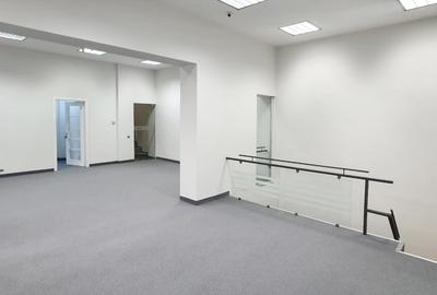 Vila cu prestanta zona Capitale Guvern, renovata integral, lift, parcare proprie - 8